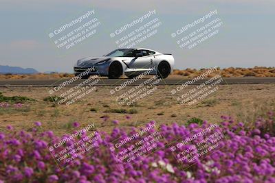 media/Jan-08-2023-SCCA SD (Sun) [[8f6a5b9391]]/Intermediate Group/Session 2 (Short Straight)/